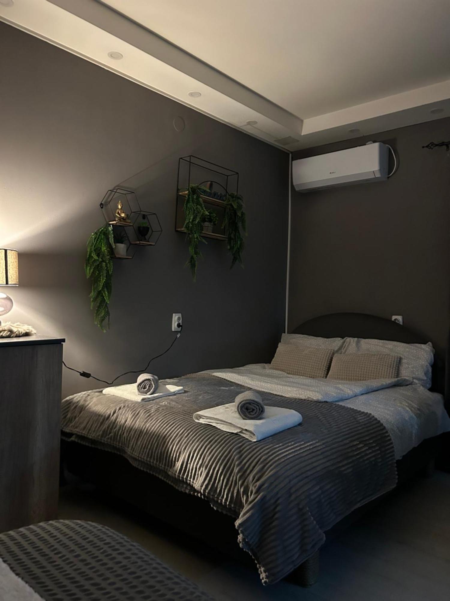 Beta House Apartments Zaječar Buitenkant foto